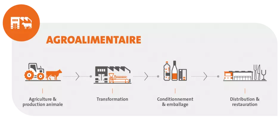 Industrie Agro - Chaine de valeur