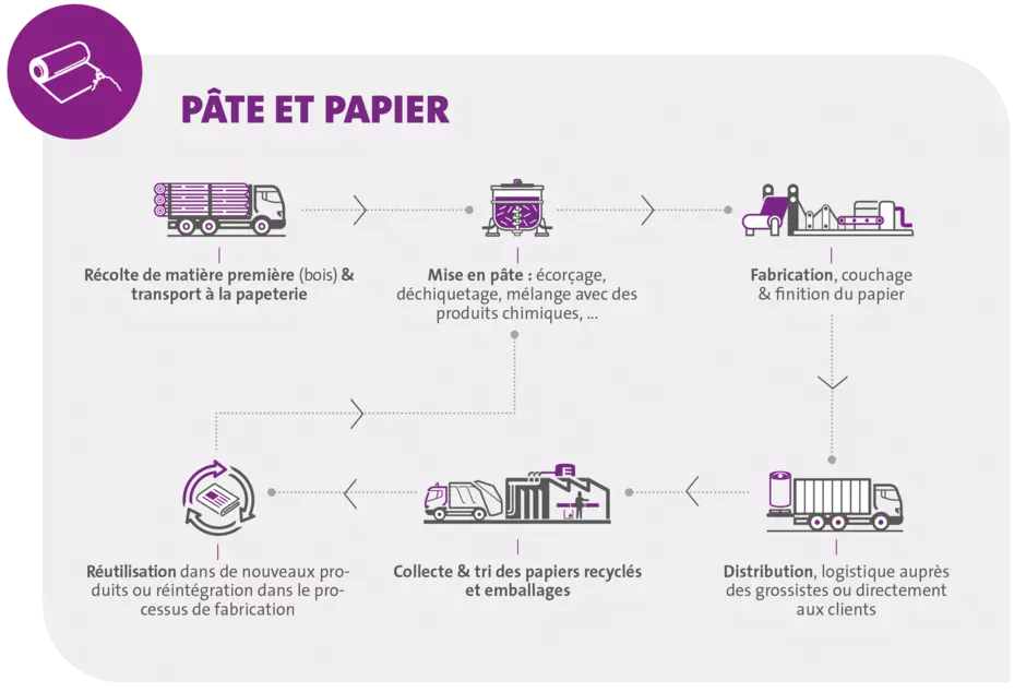 Industrie pate et papier - Chaine de valeur